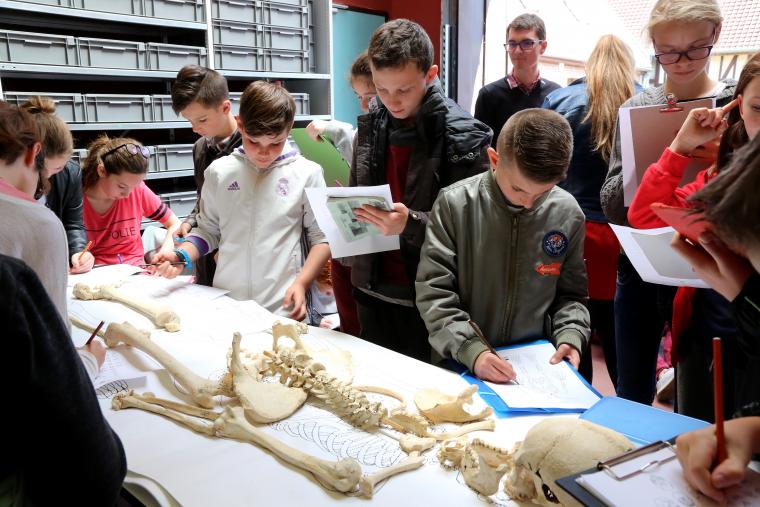 atelier anthropologie groupe scolaire atelier anthropologie groupe scolaire